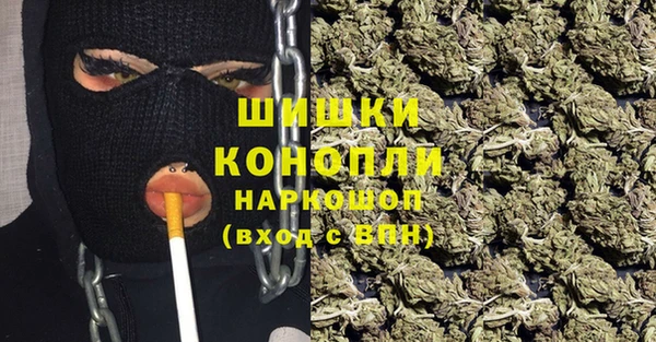 mix Гусиноозёрск